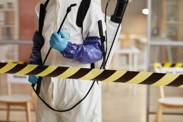 Professional Sewage Cleanup technician working in Edgewater, CO